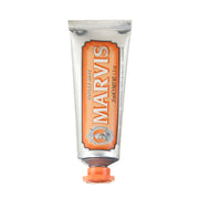 Ginger Mint Toothpaste