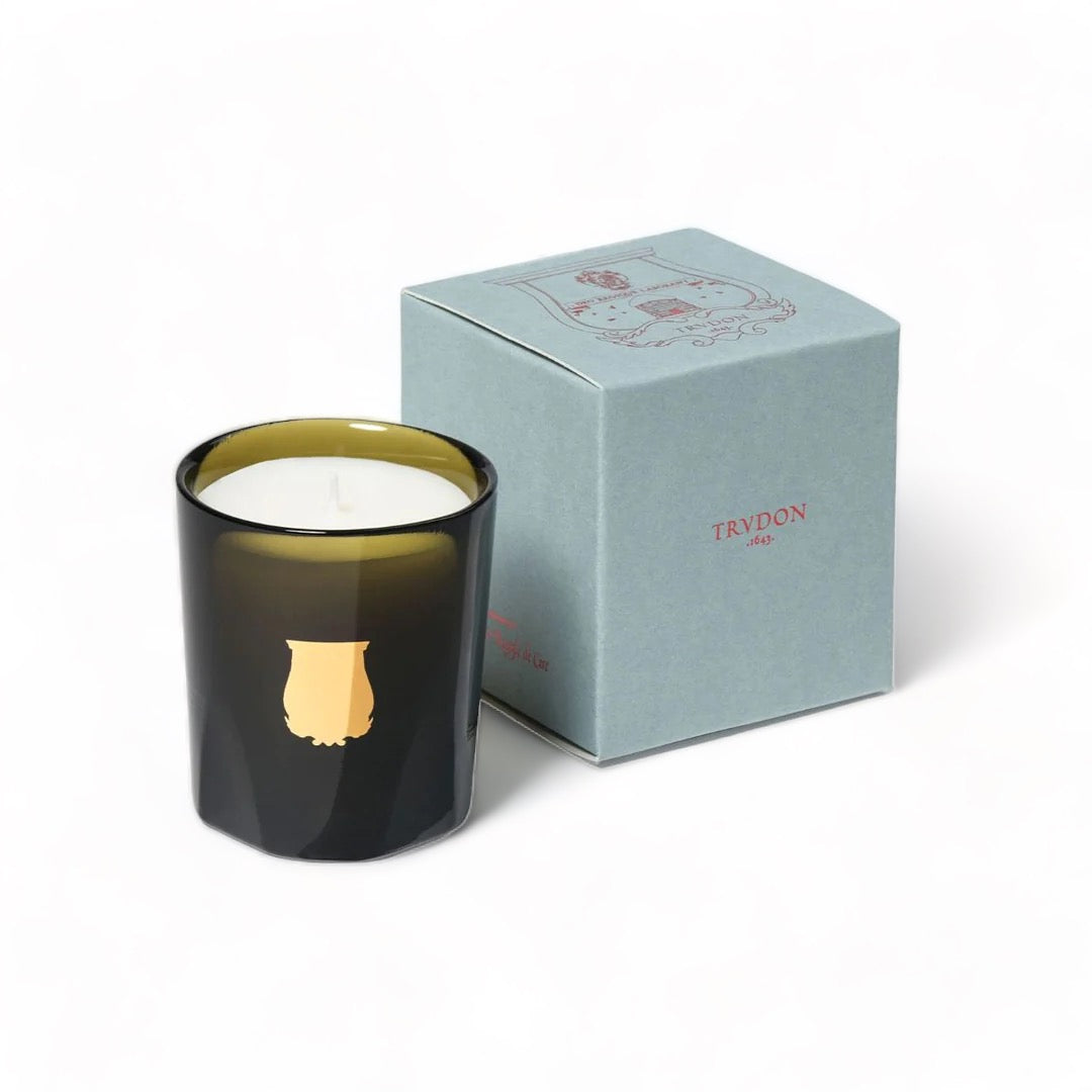 Ernesto Candle by Trudon