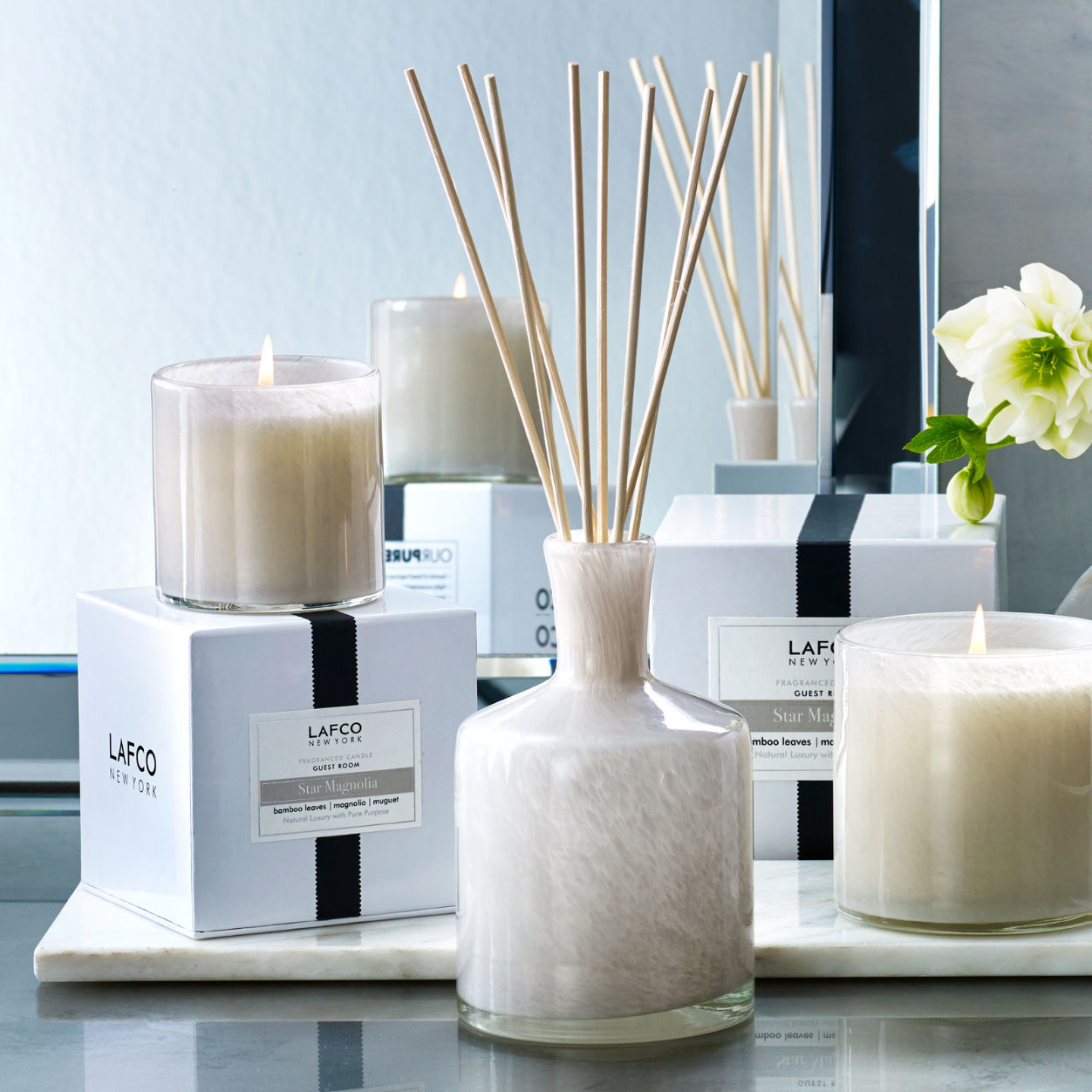 Star Magnolia Candle