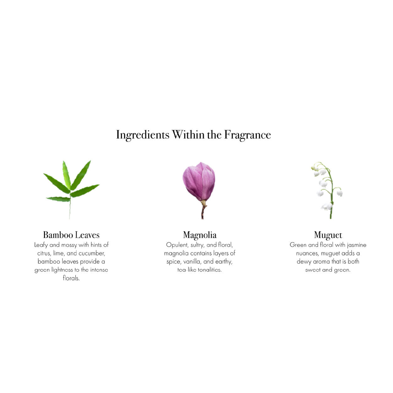 Star Magnolia Candle